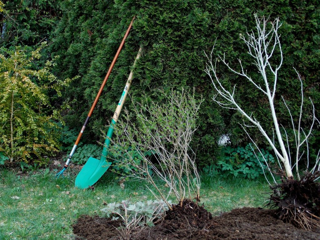 Plantation automne Jardins Francois Clausse