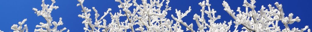 givre les jardins francois clausse